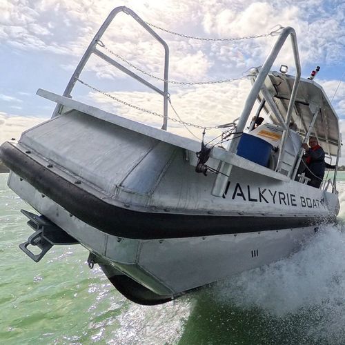 作业船专业船 - Valkyrie 800 - BORD A BORD - 客船 / 舷外 / 铝制