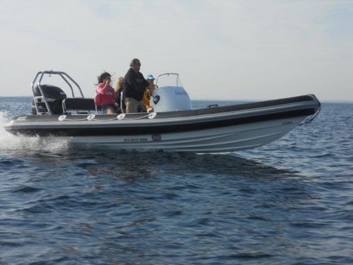 舷外充气艇 - RIB 690 - Solent Ribs - 半硬式 / 中央控制台 / 保护栏杆