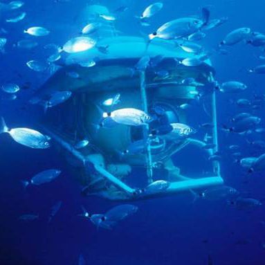 旅游用潜水艇 - LARGE  - Silvercrest Submarines