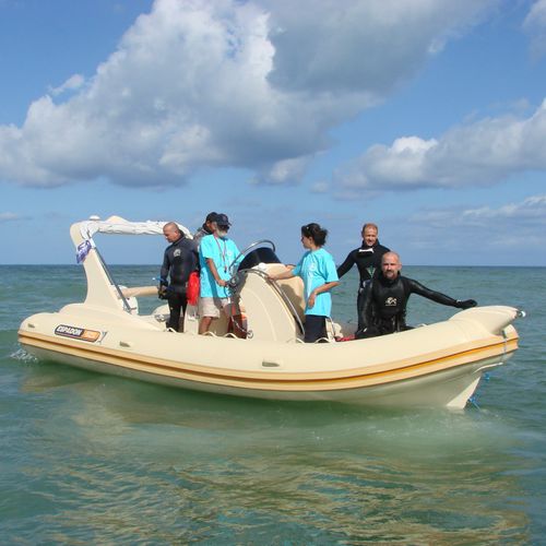 舷外充气艇 - 625 CL - ESPADON CONCEPT - 双引擎 / 半硬式 / 中央控制台
