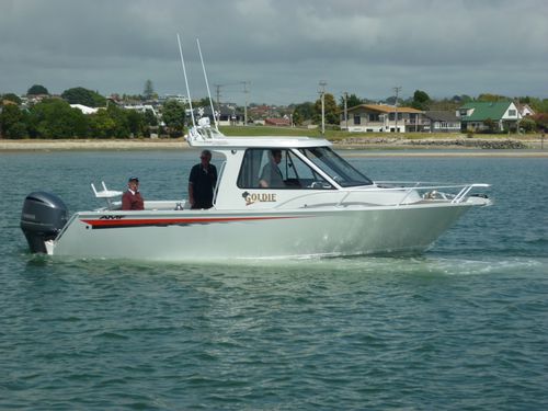 舷外舱房游艇 - 720 Pro  - AMF Boat Company - 硬顶 / 运动 / 钓鱼运动