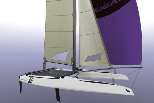 海岸赛运动双体船 - 20 C - Eagle Catamarans - 双人 / 双吊架 / 不对称大三角帆