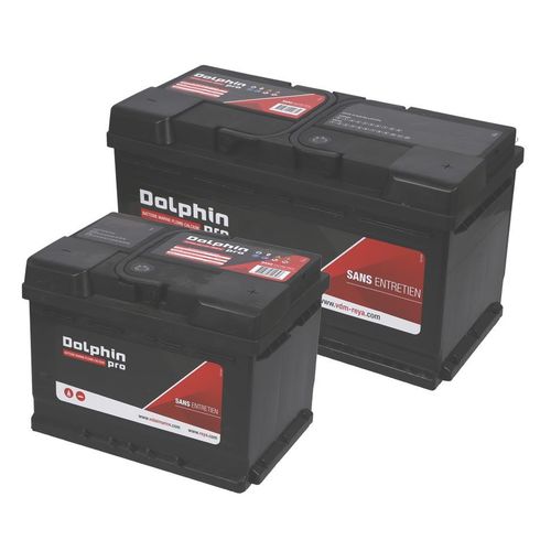 航海电池 - PRO SERIES - DOLPHIN CHARGER - 12V / 铅 / 铅酸