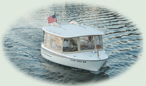 舷内敞舱船 - 204  - LEAR ELECTRIC BOATS - 电动 / 开放式 / T形顶篷