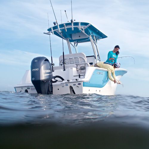 舷外敞开艇 - 228 COMMANDER - Sea Fox Boats - 中央控制台 / 钓鱼运动 / 最多容纳 8 人
