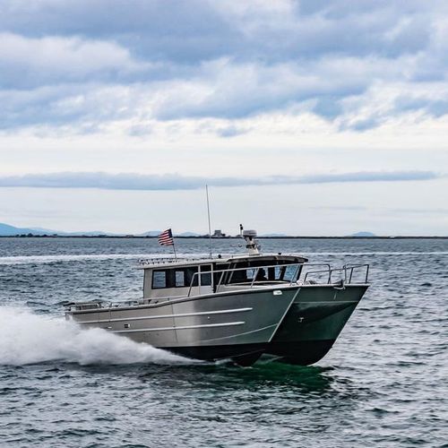 专业捕鱼船专业船 - 4216-CTC - Armstrong Marine - 双体船 / 舷内 / 柴油