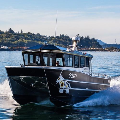 观光船专业船 - 3212-CTC | PaxCat - Armstrong Marine - 双体船 / 舷内 / 铝制