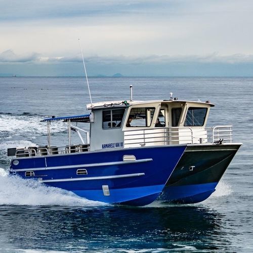 观光船专业船 - 3513-CTC | PaxCat - Armstrong Marine - 双体船 / 舷外 / 铝制