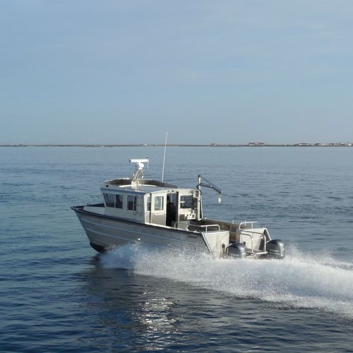 水文地理研究船专业船 - 3513-CTC | LabCat - Armstrong Marine - 双体船 / 舷外 / 铝制