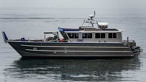 登陆艇专业船 - 4615-HTC - Armstrong Marine - 双体船 / 舷外 / 铝制