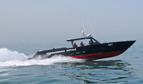 巡逻艇专业船 - 52 FEARLESS - Metal Shark Aluminum Boats - 舷内 / 铝制
