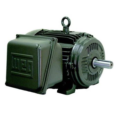 舷内发动机 - W21 TEFC IP55 - Weg Electric Motors - 电动 / 船舶 / 专业用途船