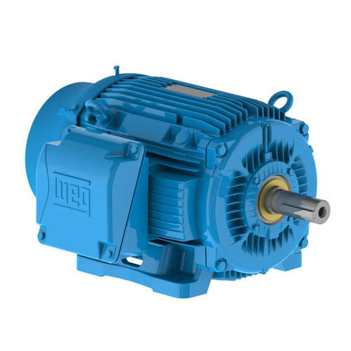 舷内发动机 - W22 IEEE-841™ Petrochem Motors - NEMA Premium® Efficiency - Weg Electric Motors - 电动 / 专业用途船 / 船舶