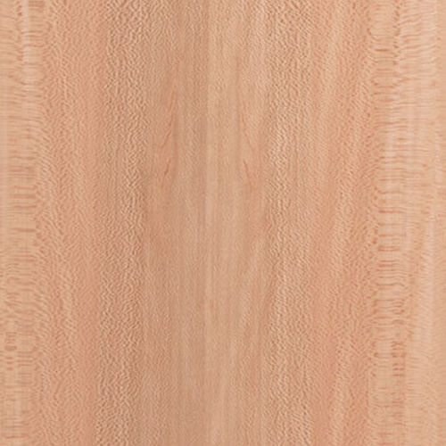 胶合板 - Sycamore - Kuiper Holland - Superyacht Interior Panels - 木质