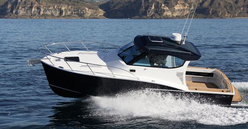 舷内舱房游艇 - SEMIFLY 28 - Dickey Boats Limited - 开放式 / 钓鱼运动