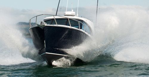 舷内快艇 - CUSTOM 950 - Dickey Boats Limited - 封闭飞桥 / 硬顶 / 钓鱼运动
