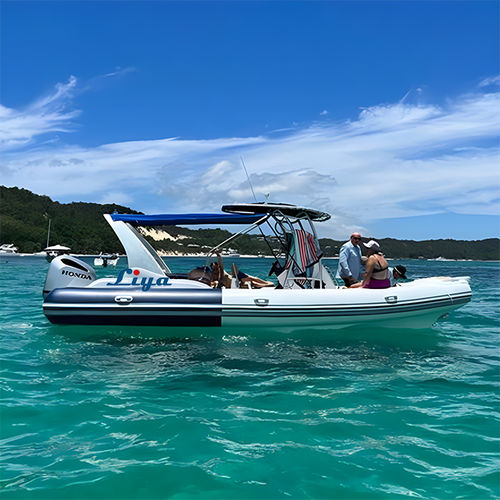 舷外充气艇 - RIB750-C - Qingdao Lian Ya Boat Co.,Ltd. - 汽油 / 双引擎 / 半硬式