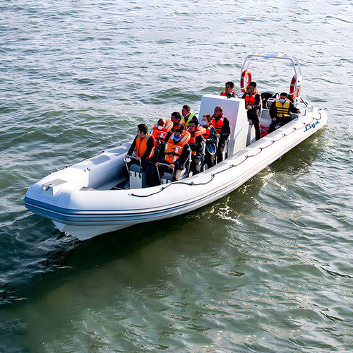 巡逻艇专业船 - LY90-100 - Qingdao Lian Ya Boat Co.,Ltd. - 舷外 / RIB