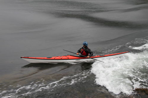 运动巡游皮划艇 - Raven  - Eddyline Kayaks - 海洋 / 成人 / 单人