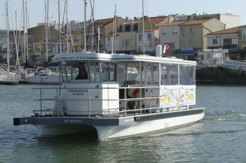 观光船专业船 - Les Sables d'Olonne  - Alternatives Energies - 双体船 / 舷内
