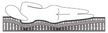 船用床垫 - Marine+ - Ship Shape Bedding - 泡沫