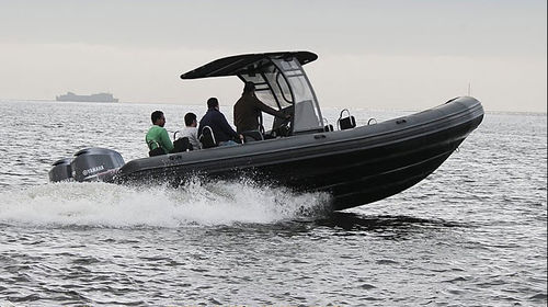巡逻艇专业船 - DM850 - Tiger Marine - 潜水支持船 / 舷外 / 刚性充气艇