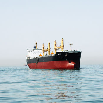 散货船 - DAE SUN SHIPBUILDING - 巴拿马型