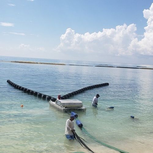 带式油撇取器 - Seaweed  - Desmi - 用于静水