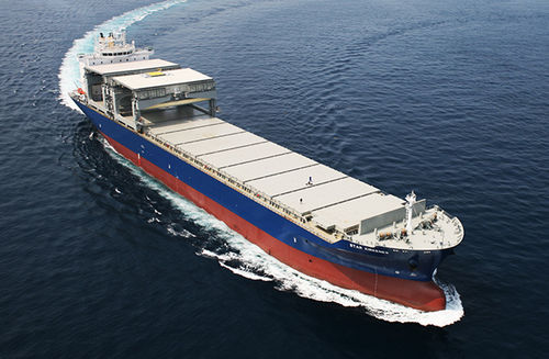 散货船 - 49k OHGCC - HYUNDAI MIPO DOCKYARD