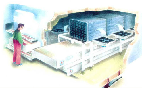 渔船用工业冷冻柜 - IQF - Teknotherm