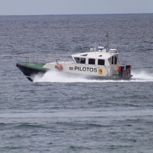 领航船专业船 - 12.6 - Estaleiros Navais de Peniche - 舷内 / GRP