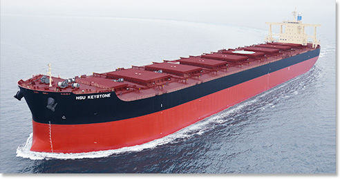 散货船 - Imabari Shipbuilding Co., Ltd. - 好望角型