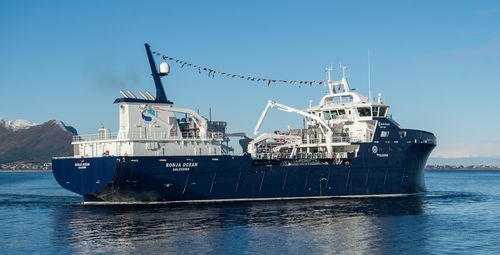拖网渔船专业渔船 - RONJA OCEAN - Kleven Maritime AS - 活鱼运输
