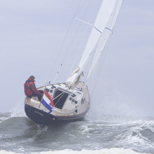 巡游帆船 - SC 8 M  - Saffier Yachts - 传统型 / 游览 / 1舱