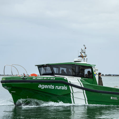 巡逻艇专业船 - Q35 Explorer - QUER PROFESSIONAL BOATS - 救生船 / 作业船 / 领航船