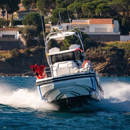 测量船专业船 - Q80 Explorer - QUER PROFESSIONAL BOATS - 舷内 / 纤维玻璃 / 碳纤