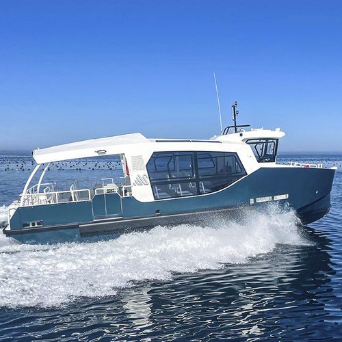 客船专业船 - H63 & H64 : 12m SH CASTOR & SH POLLUX - ODC MARINE - 登陆艇 / 舷内 / 铝制