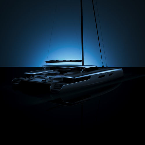 双体船帆船游艇 - C.100 - Black Pepper Yachts - 竞赛休闲两用 / 尾部开放式 / 碳纤