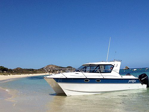 双体快艇 - 32RS - ArrowCat Marine - 舷外 / 钓鱼运动