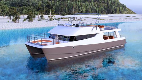巡游载人渡轮 - 1800 Tour transit  - Powerplay Power Catamarans - 双体船 / RINA / 玻璃纤维