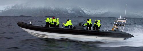 巡逻艇专业船 - 11M HIGH PERFORMANCE - Tornado Boats - 救生船 / 工作艇 / 近海服务船