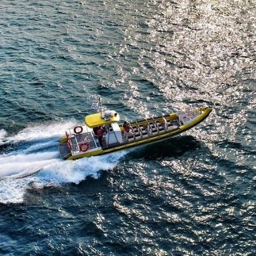 巡逻艇专业船 - 12.5M - Tornado Boats - 救生船 / 观光船 / 工作艇