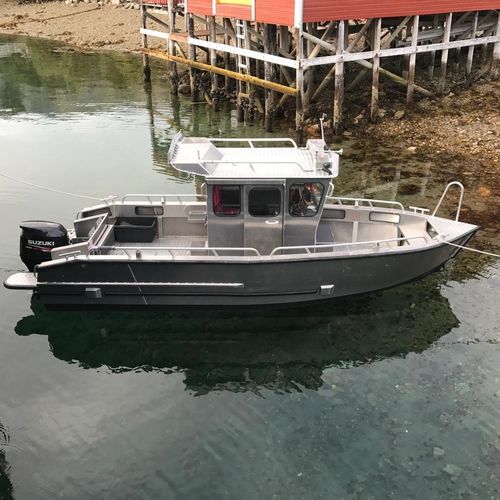 专业捕鱼船专业船 - C 690 - MS Boat - 舷外 / 铝制