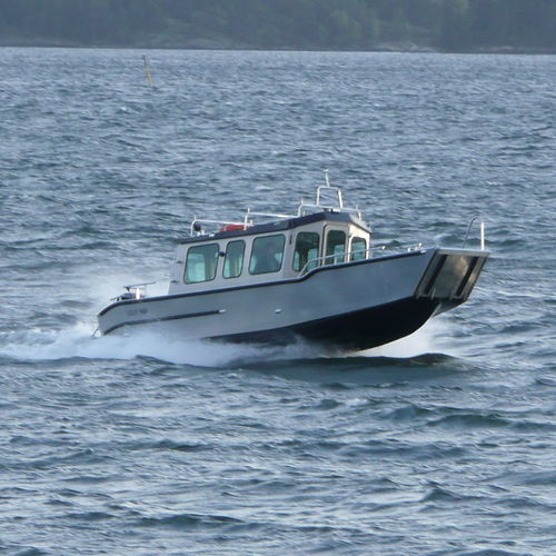 登陆艇专业船 - C800 WT  - MS Boat - 舷外 / 铝制