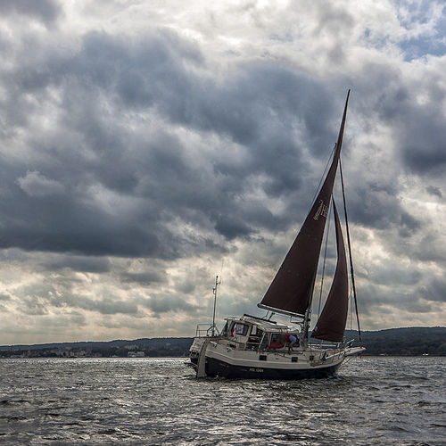 巡游帆船 - 34C4 - HABER YACHTS Sp. z o.o.  - 4舱 / 7舱位 / 甲板会客区