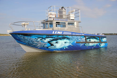 专业捕鱼船专业船 - 870 Tuna - Tinn-Silver aluminium boats - 舷内 / 铝制