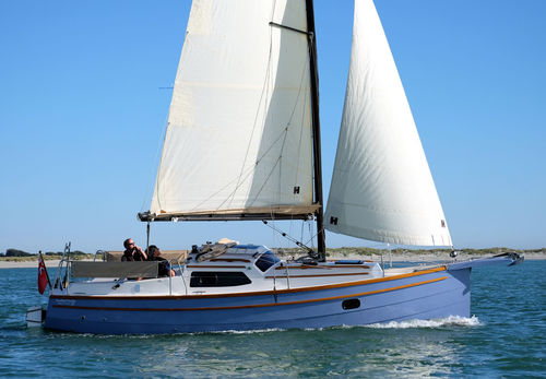 Daysailer帆船 - BayCruiser 26 - Swallow Yachts - 4铺位 / 双舵 / 牵引式