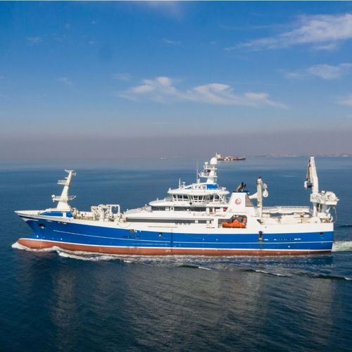 拖网渔船专业渔船 - LIBAS - Cemre Shipyard - 金枪鱼捕捞船