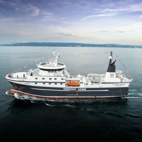拖网渔船专业渔船 - OLYMPIC PRAWN - Cemre Shipyard