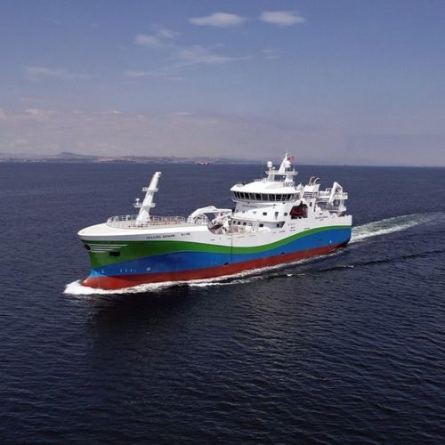 拖网渔船特殊船舶 - SELVÅG SENIOR - Cemre Shipyard - 金枪鱼捕捞船 / DNV-GL